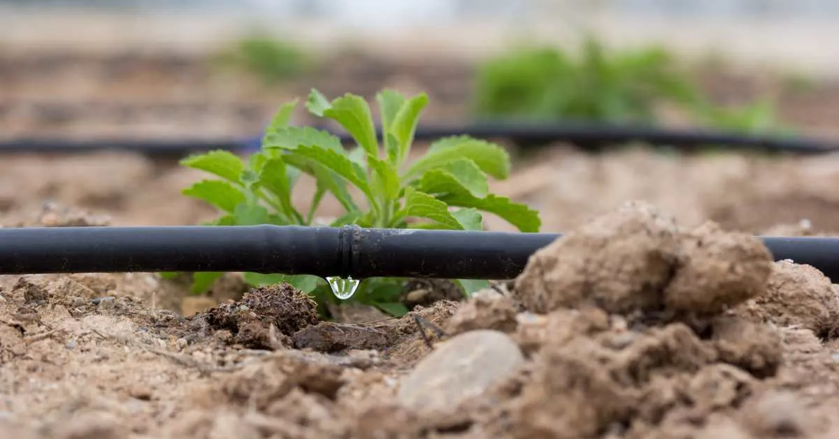 Otomatik Fıskiye Sistemi